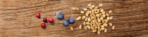 Protein Berries & Peanuts Ingredient